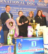 Превью фото № 202879