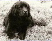 Превью фото № 202887