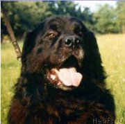 Превью фото № 202888