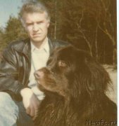 Превью фото № 202890