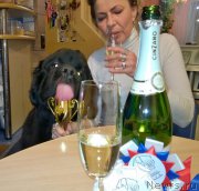 Превью фото № 202901