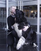 Превью фото № 202906