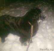 Превью фото № 202930