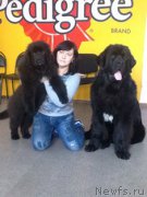 Превью фото № 202942