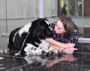 Превью фото № 202998