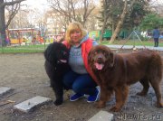 Превью фото № 203028