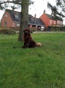 Превью фото № 203040