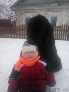 Превью фото № 203074