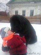 Превью фото № 203075