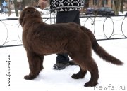 Превью фото № 203088