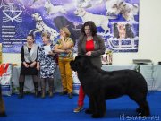 Превью фото № 203112