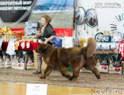 Превью фото № 203119