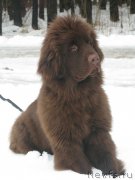 Превью фото № 203178