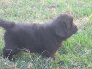 Превью фото № 203269