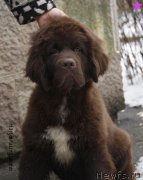 Превью фото № 203346