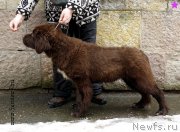 Превью фото № 203349