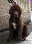 Превью фото № 203353