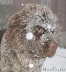 Превью фото № 20336