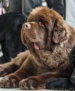 Превью фото № 203377