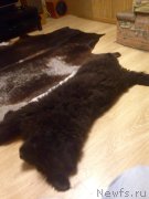 Превью фото № 203387