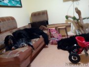 Превью фото № 203389