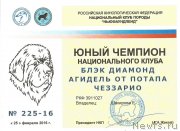 Превью фото № 203391