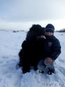 Превью фото № 203408