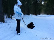 Превью фото № 203412