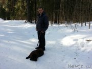 Превью фото № 203414