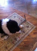 Превью фото № 203439