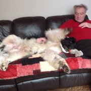 Превью фото № 203442