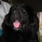 Превью фото № 20348