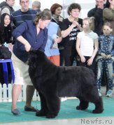 Превью фото № 203495