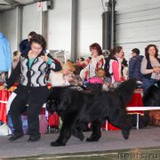 Превью фото № 203533