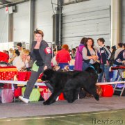 Превью фото № 203535