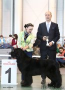 Превью фото № 203560