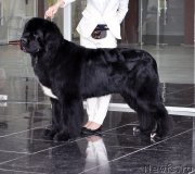 Превью фото № 203587