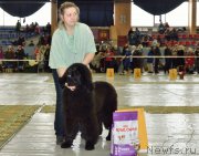 Превью фото № 203620