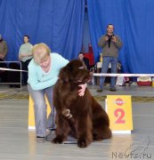 Превью фото № 203622