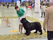 Превью фото № 203638