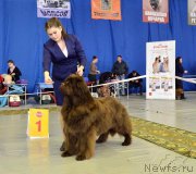 Превью фото № 203639