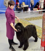 Превью фото № 203641