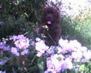 Превью фото № 203646