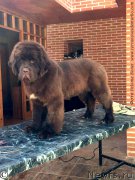 Превью фото № 203661