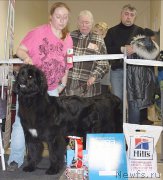 Превью фото № 203703