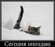 Превью фото № 203797