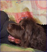 Превью фото № 203863