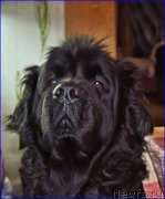 Превью фото № 203864