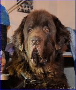 Превью фото № 203871