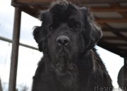 Превью фото № 203993